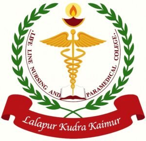 whatsapp image 2025 07 09 at 21.55.05 936966c6